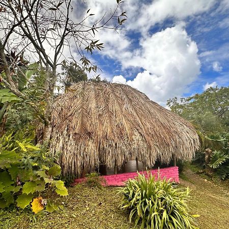 Villa Sierra Alta Finca Boutique à Minca Extérieur photo