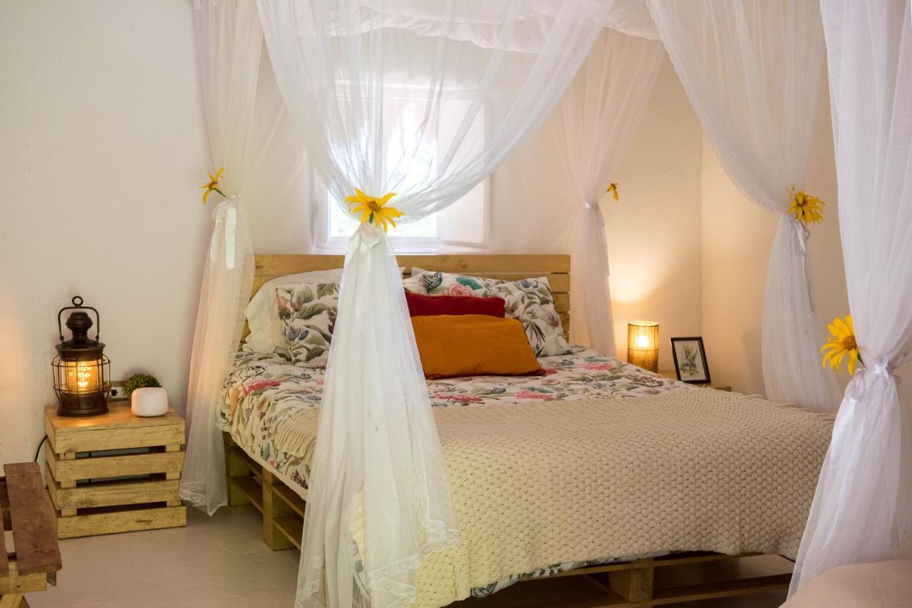 Villa Sierra Alta Finca Boutique à Minca Extérieur photo